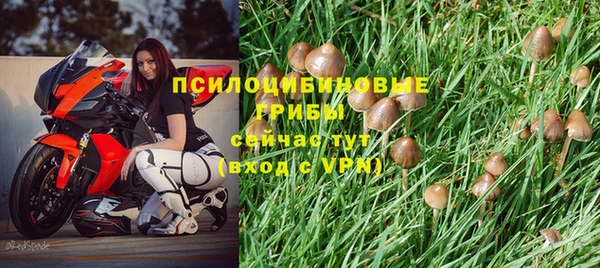 синтетический гашиш Осташков