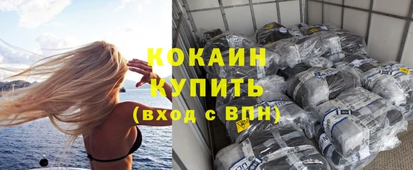 молекула духа Пересвет