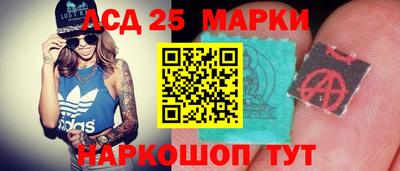 ПСИЛОЦИБИНОВЫЕ ГРИБЫ Кулебаки
