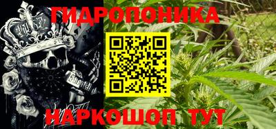 ПСИЛОЦИБИНОВЫЕ ГРИБЫ Кулебаки