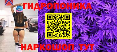 крисы Беслан