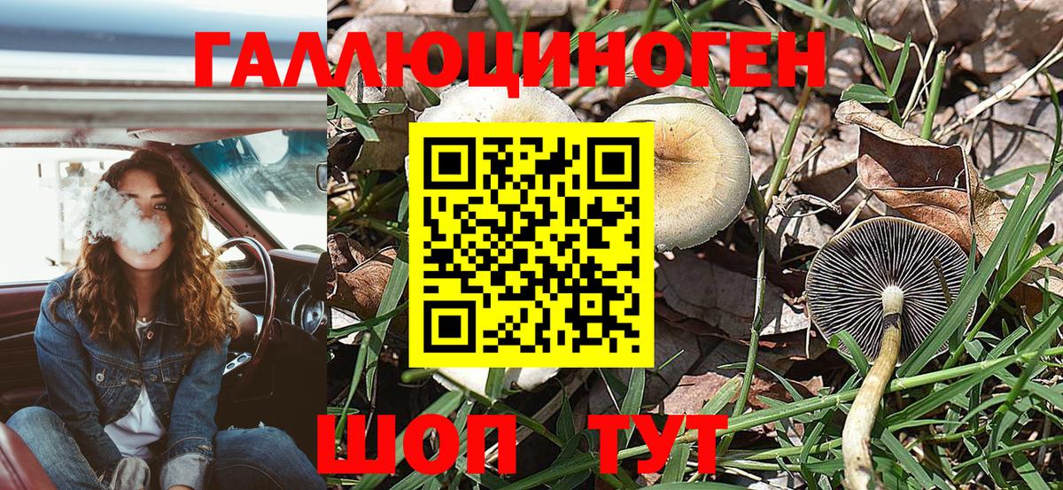 Галлюциногенные грибы прущие грибы Волоколамск