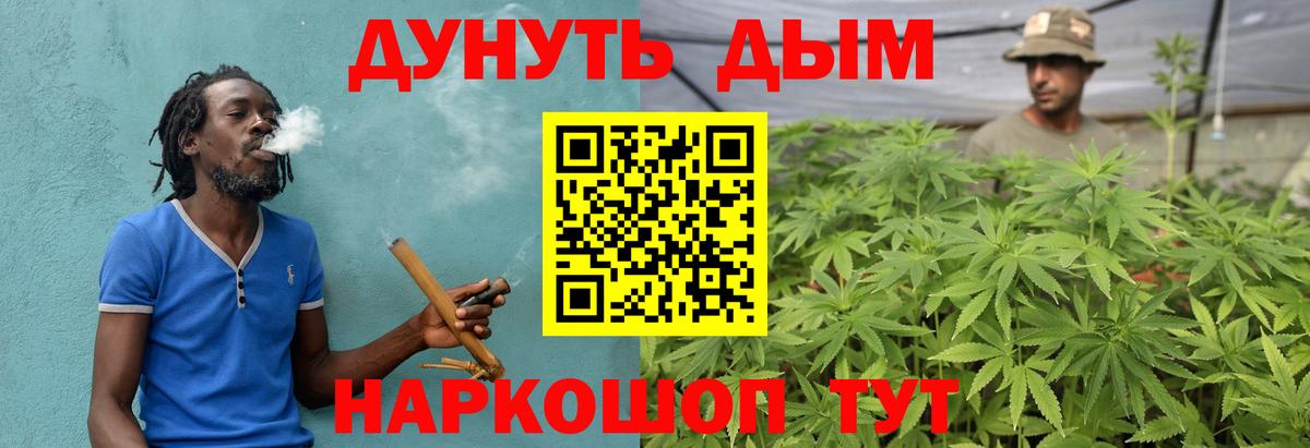Шишки марихуана гибрид  Марихуана гибрид  Вход с VPN  Волоколамск  Бошки Шишки план  Бошки марихуана индика 